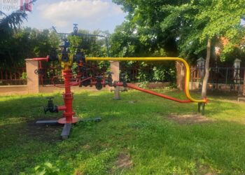 Festiwal Piosenki Ekologicznej w TDK