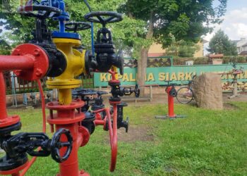 Festiwal Piosenki Ekologicznej w TDK