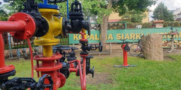 Festiwal Piosenki Ekologicznej w TDK