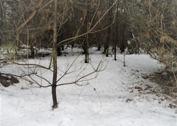 Tarnobrzeg: Wnyki jak tykające bomby