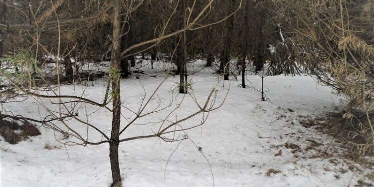 Tarnobrzeg: Wnyki jak tykające bomby