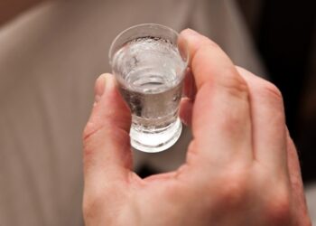 Pijana matka opiekowała się czwórką dzieci.