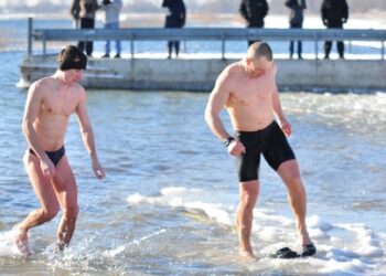 Morsy kąpały się dziś w Jeziorze Tarnobrzeskim