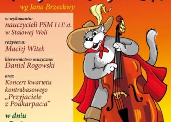 Kot w butach w Stalowej Woli