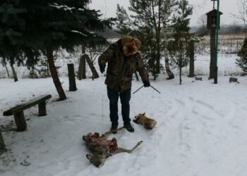 Plaga kłusowników w lasach