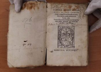 Bardzo możliwe, że już wkrótce pojawi się niesztampowa historia Kolbuszowej.