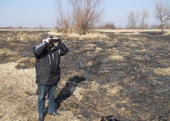 Płoną trawy. Skala zjawiska zatrważa.