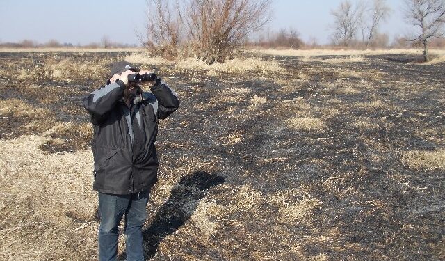 Płoną trawy. Skala zjawiska zatrważa.