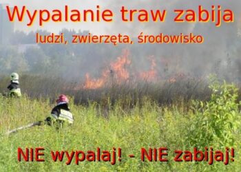 Stop wypalaniu traw.