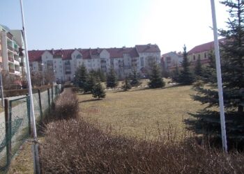 Kontrowersje wokół wyborów