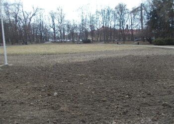 Wiosenne porządki wokół Zamku Dzikowskiego