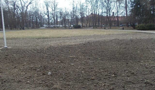 Wiosenne porządki wokół Zamku Dzikowskiego