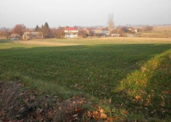 Mieleckie starostwo obiecuje, że pomoże mieszkańcom Padwi Narodowej, którzy mają problemy z udokumentowaniem scalenia swoich ziem.