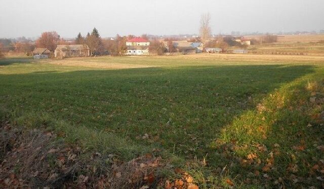 Mieleckie starostwo obiecuje, że pomoże mieszkańcom Padwi Narodowej, którzy mają problemy z udokumentowaniem scalenia swoich ziem.