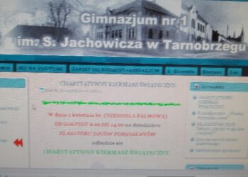 'Jedynka' będzie bronić tarnobrzeskiego gimnazjum