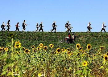 W Nowej Dębie będą maszerować po zdrowie