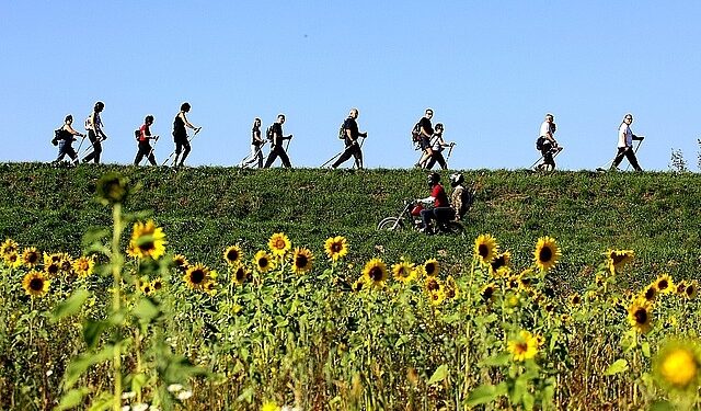W Nowej Dębie będą maszerować po zdrowie