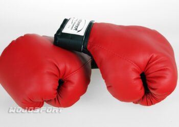 Międzyregionalna Gala Boksu o Puchar Wójta Gminy Zaklików