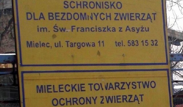 Mieleckiemu schronisku dla bezdomnych zwierząt grozi zamknięcie