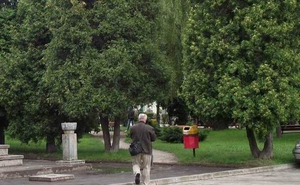 Ptaki wstrzymały Rewitalizację Parku Inwalidów Wojennych w Mielcu.