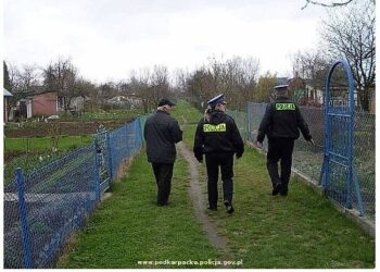 Doroczne spotkanie  z działkowcami w Komendzie Miejskiej Policji w Tarnobrzegu