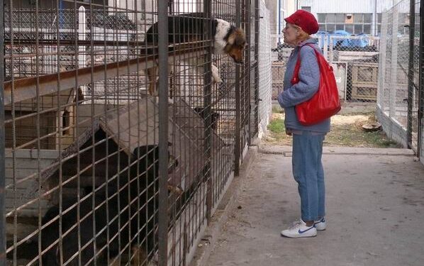 Utworzenie powiatowego schroniska dla bezdomnych zwierząt zaproponowała Mielecka radna Elżbieta Moskal.