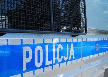 Do pięciu lat więzienia grozi mężczyznom zatrzymanym przez policję z Nowej Dęby.