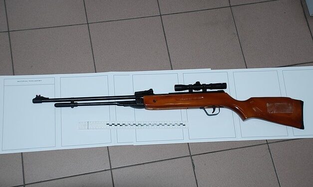 Tarnobrzeg: Strzelając do ptaka, postrzelił chłopca.