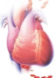 Wykład otwarty  w PWSZ