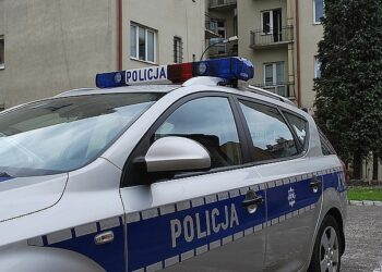 Ukradł niemal dziewięć ton stali.