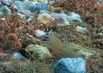 Sterty śmieci szpecą szlaki turystyczne Kolbuszowej.