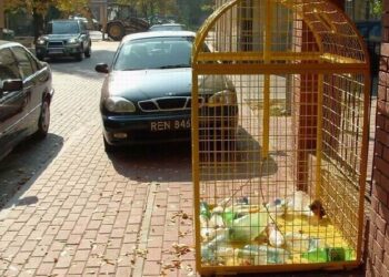 Mielec przygotowuje się do rewolucyjnych zmian w gospodarce odpadami komunalnymi.