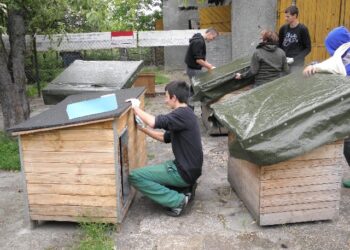 Wspierali przytulisko dla psów.