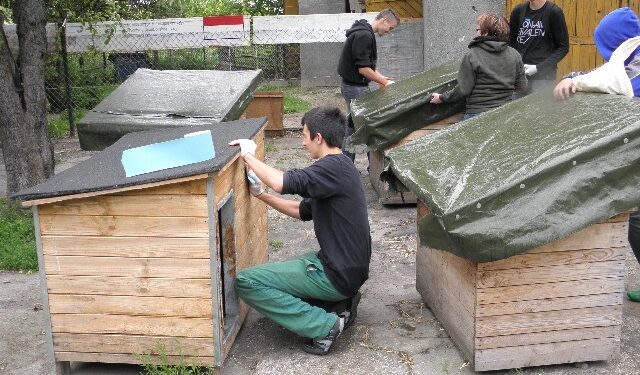 Wspierali przytulisko dla psów.