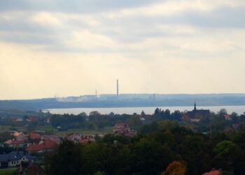 Tarnobrzeg stawia na zawodowców.