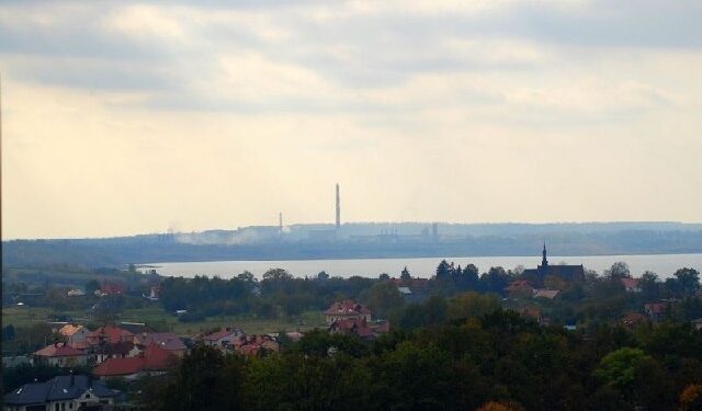 Tarnobrzeg stawia na zawodowców.