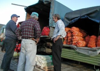 Pojawiła się szansa na poprawę stanu zieleniaka przy ul. Słowackiego w Sandomierzu.
