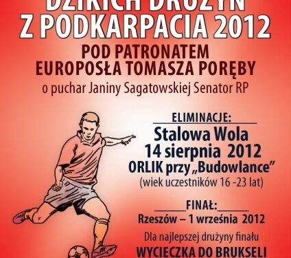 Turniej piłkarski dzikich drużyn w Stalowej Woli