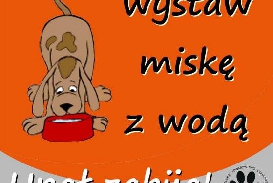 W czasie upałów pamiętajmy o zwierzętach!