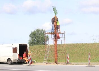 Palma w Tarnobrzegu!