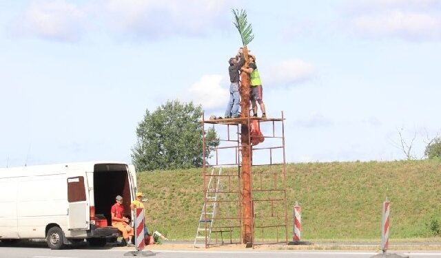 Palma w Tarnobrzegu!