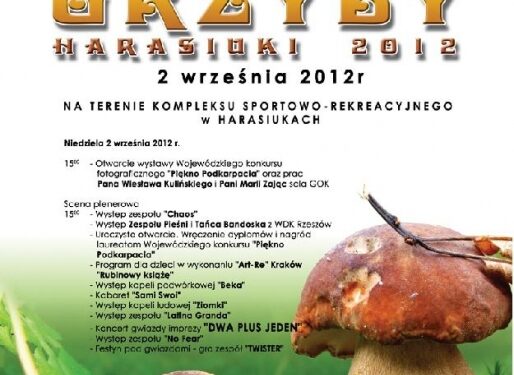 Grzyby w Harasiukach