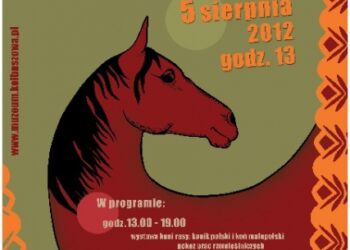 'Koń jaki jest…' w Kolbuszowej.