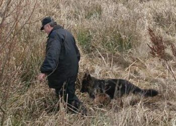 Knapy: Odnaleziono zaginioną kobietę.