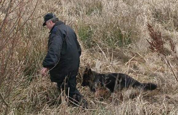 Knapy: Odnaleziono zaginioną kobietę.
