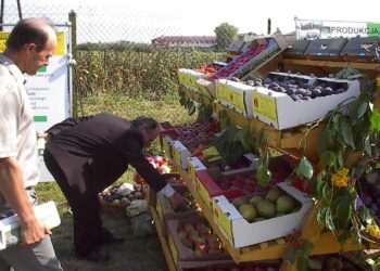 Jaki jest ten rok dla sadowników?