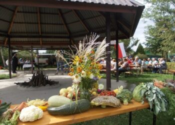 Dzień Działkowca obchodzili w weekend działkowcy z Rodzinnego Ogrodu Działkowego 'Związkowiec w Tarnobrzegu.