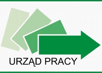 Bezpłatne kursy, szkolenia, a nawet studia podyplomowe  to czeka bezrobotnych w Powiatowym Urzędzie Pracy w Kolbuszowej .