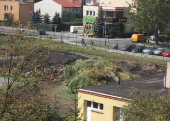 Tarnobrzeg. Rozpoczęła się budowa kolejnego Orlika.