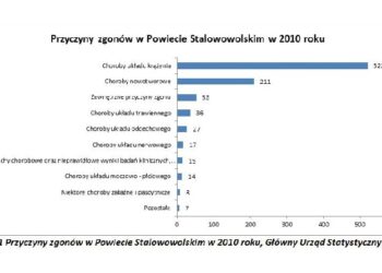 Znana jest już diagnoza zdrowotna Powiatu Stalowowolskiego.